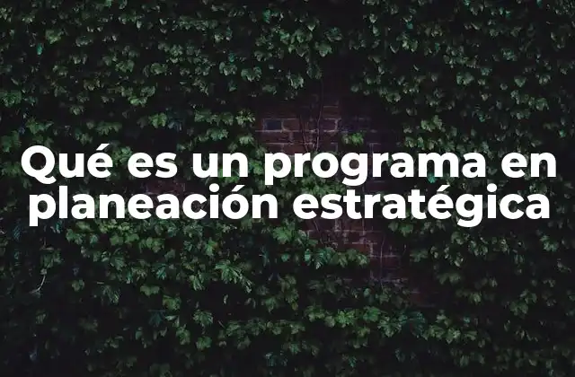 La importancia de los programas en la toma de decisiones organizacionales