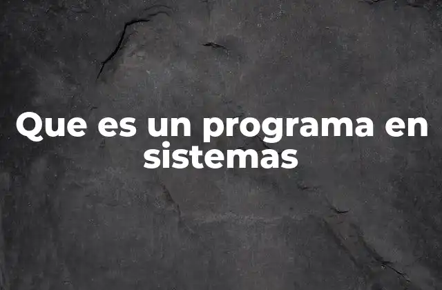 Que es un Programa en Sistemas