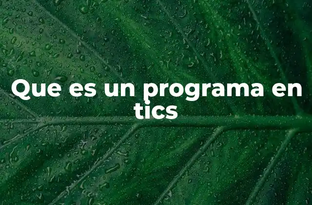 Que es un Programa en Tics