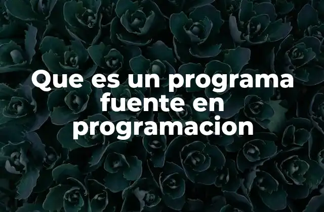 Que es un Programa Fuente en Programacion