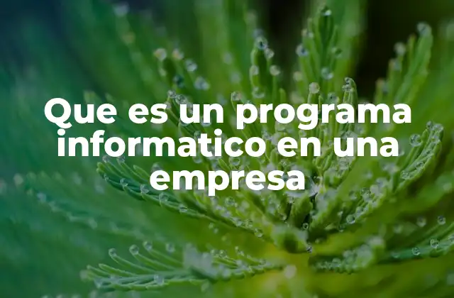 Que es un Programa Informatico en una Empresa 2 La importancia de la tecnología en la gestión empresarial