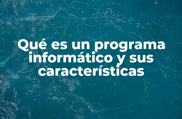 Qué es un Programa Informático y Sus Características