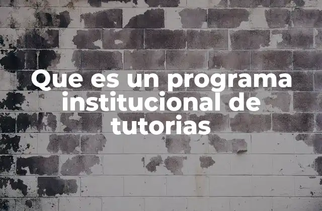 Que es un Programa Institucional de Tutorias