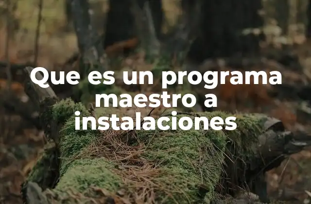 Que es un Programa Maestro a Instalaciones
