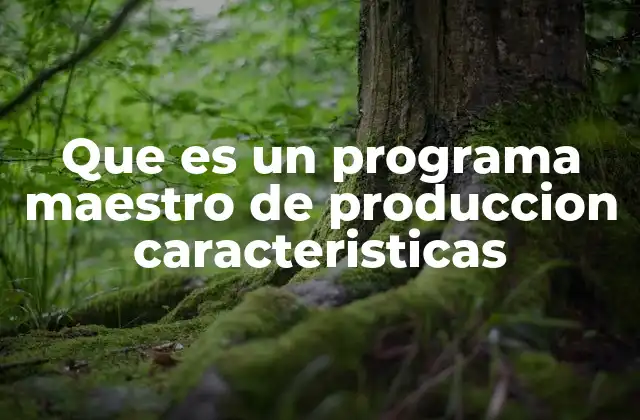 Que es un Programa Maestro de Produccion Caracteristicas