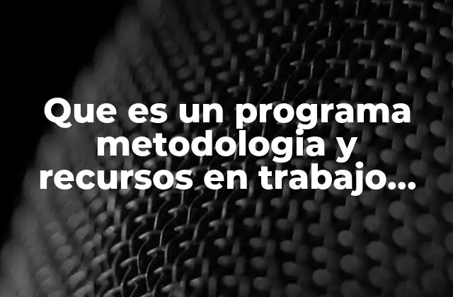 Que es un Programa Metodologia y Recursos en Trabajo Social