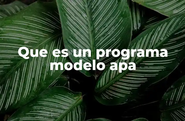 Que es un Programa Modelo Apa