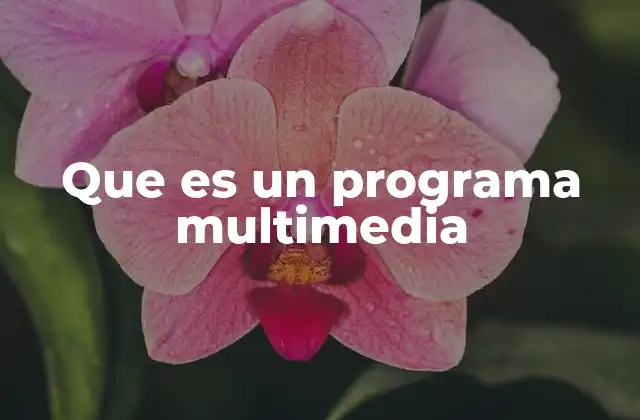 Que es un Programa Multimedia