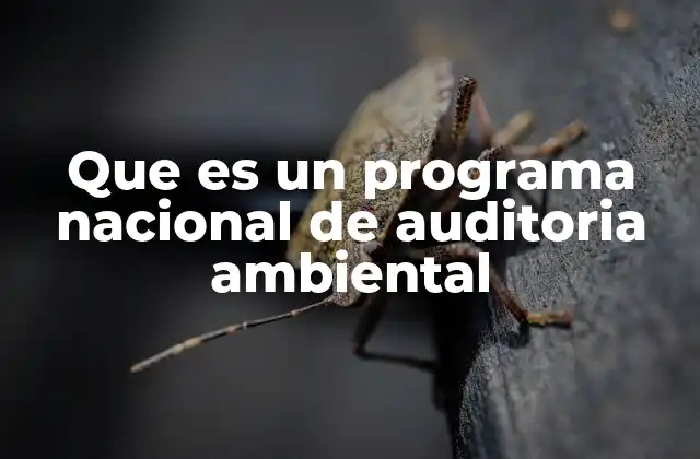 Que es un Programa Nacional de Auditoria Ambiental