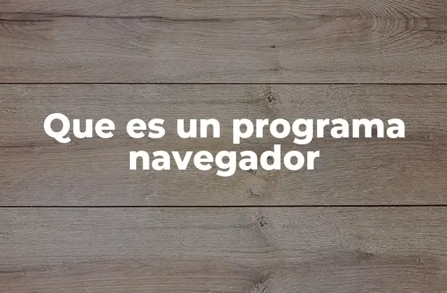 Que es un Programa Navegador