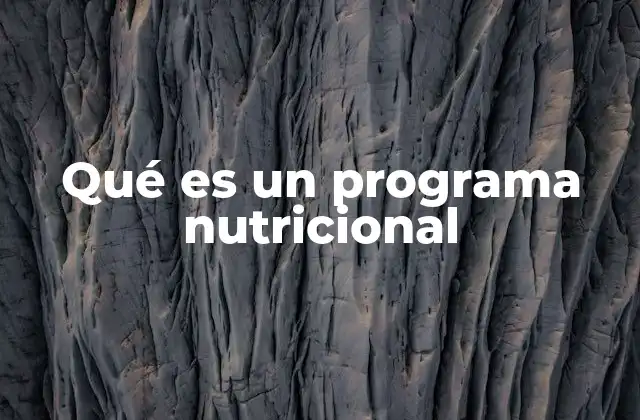 Qué es un Programa Nutricional