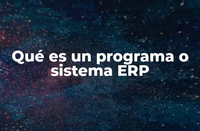 Qué es un Programa o Sistema Erp
