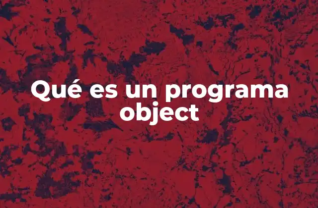 Qué es un Programa Object