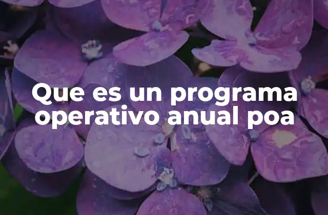 Que es un Programa Operativo Anual Poa