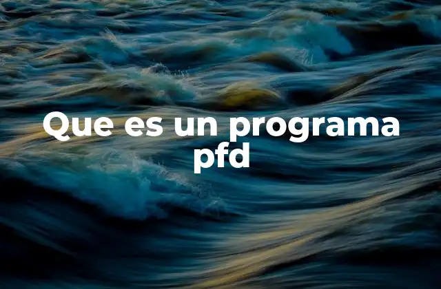 Que es un Programa Pfd