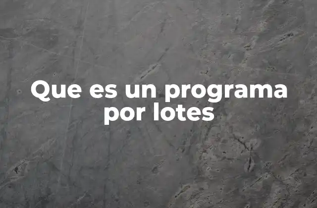 Que es un Programa por Lotes
