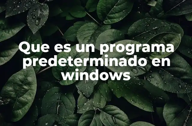 Que es un Programa Predeterminado en Windows