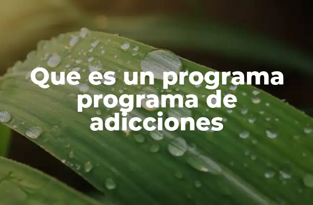 Que es un Programa Programa de Adicciones 2 Cómo los programas de adicciones ayudan a la recuperación