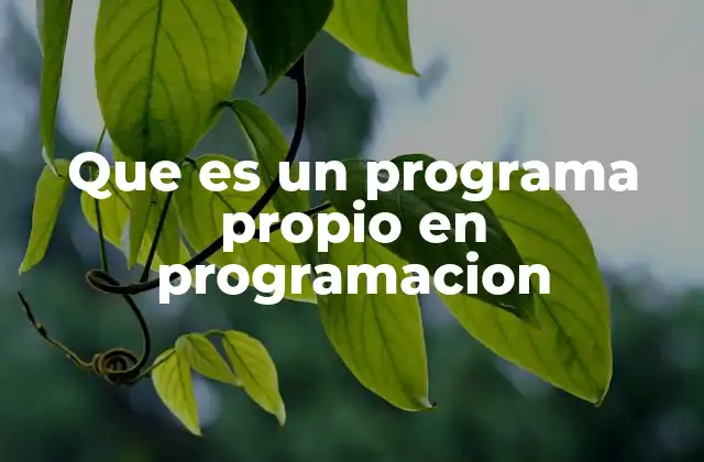 Ventajas de implementar un programa propio