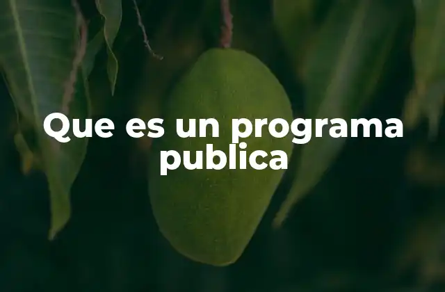 Que es un Programa Publica