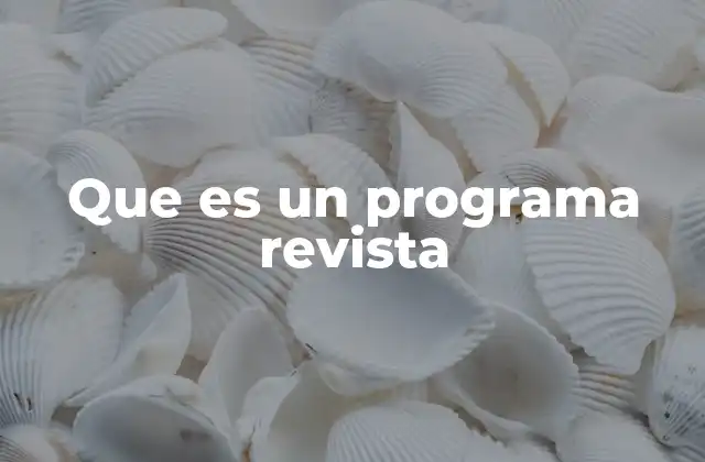 Que es un Programa Revista