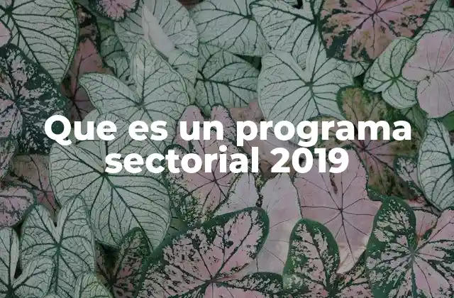 Que es un Programa Sectorial 2019 2 El papel de los programas sectoriales en la gobernanza pública