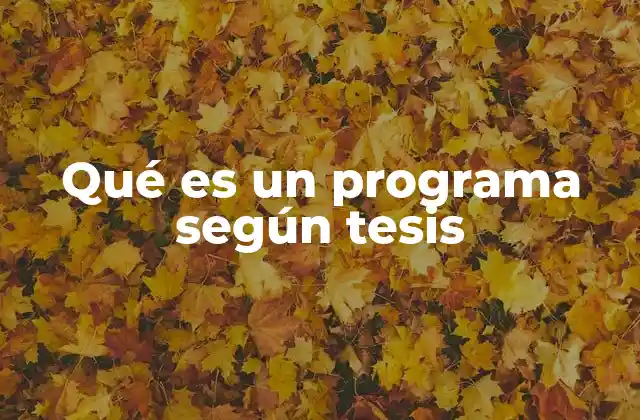 Qué es un Programa según Tesis