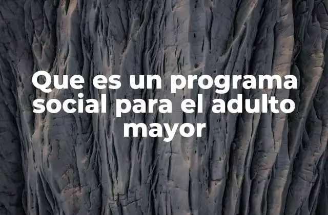 Que es un Programa Social para el Adulto Mayor