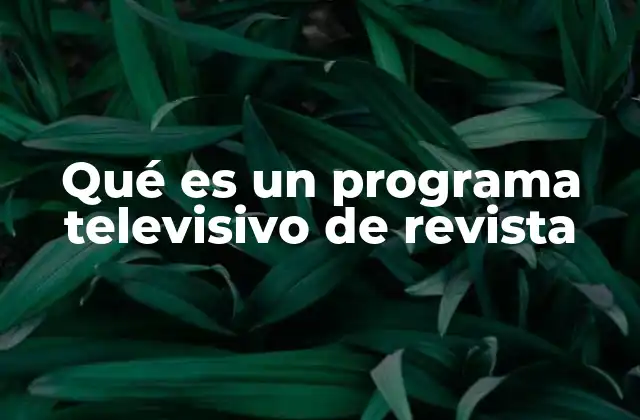 Qué es un Programa Televisivo de Revista