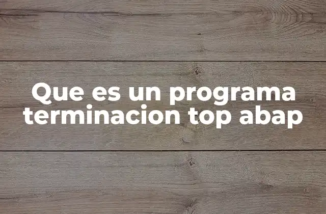 Que es un Programa Terminacion Top Abap