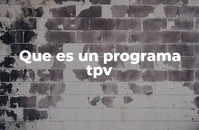 Que es un Programa Tpv