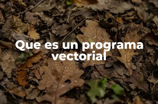 Que es un Programa Vectorial 2 Características principales de los programas vectoriales