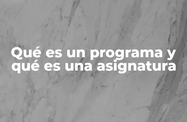Qué es un Programa y Qué es una Asignatura