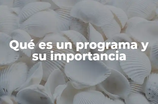 Qué es un Programa y Su Importancia