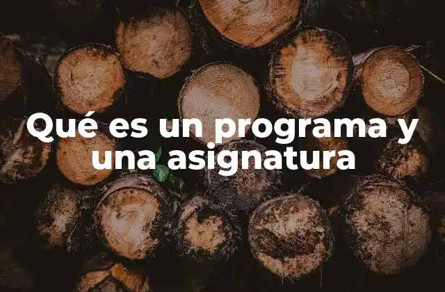 Qué es un Programa y una Asignatura