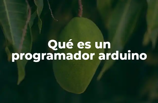 Qué es un Programador Arduino