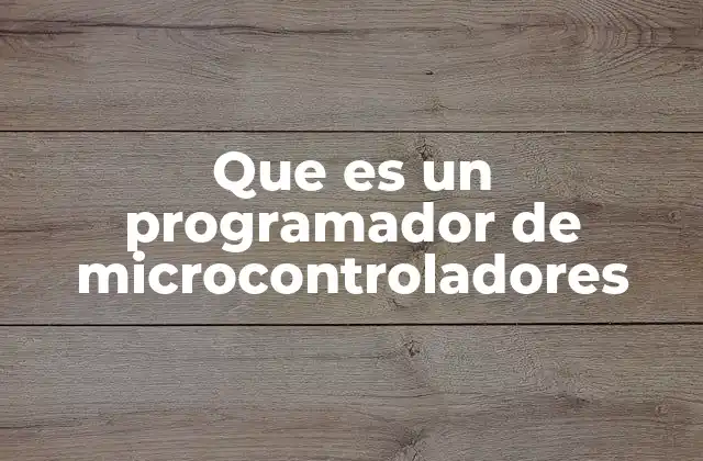 Que es un Programador de Microcontroladores