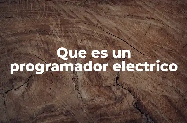 Que es un Programador Electrico
