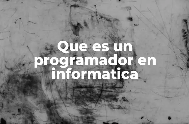 Que es un Programador en Informatica