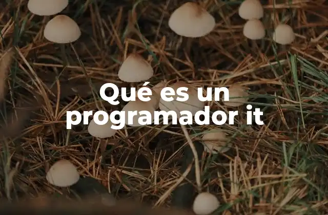 El rol del programador en la sociedad moderna