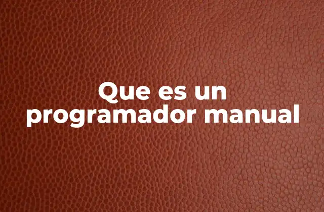 Que es un Programador Manual