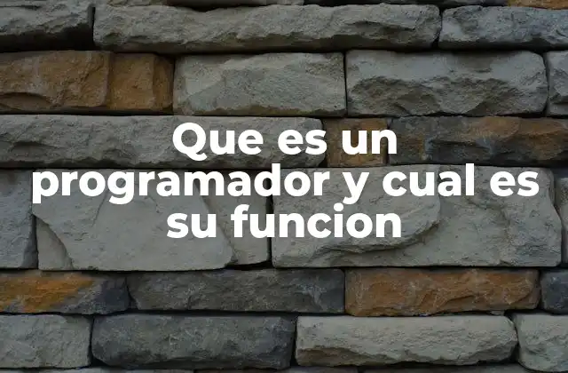 El rol del programador en la transformación digital