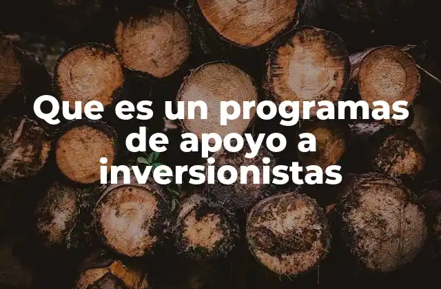 Que es un Programas de Apoyo a Inversionistas 2 Cómo funcionan los programas de apoyo a inversionistas