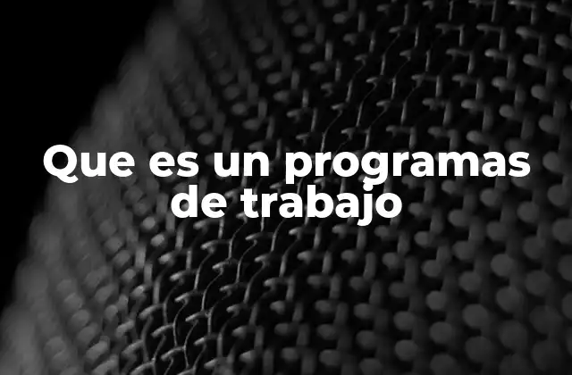 Que es un Programas de Trabajo