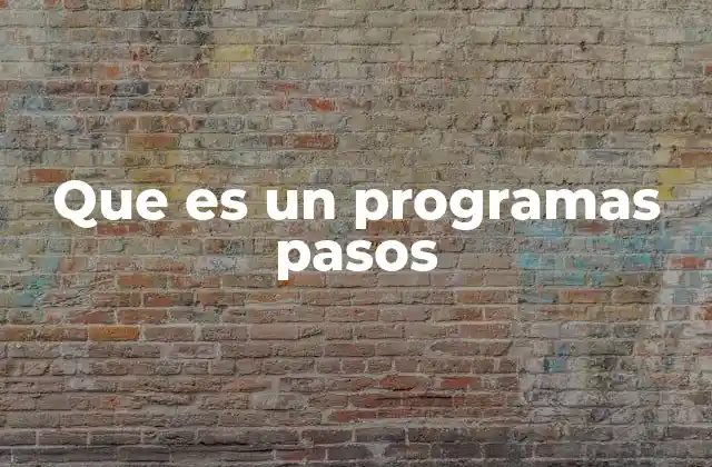 Que es un Programas Pasos