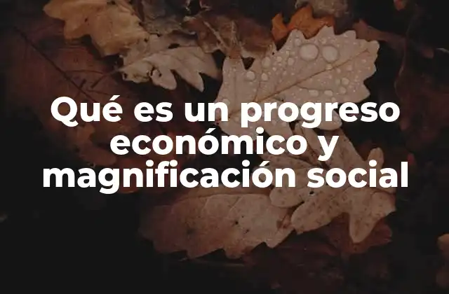 Qué es un Progreso Económico y Magnificación Social