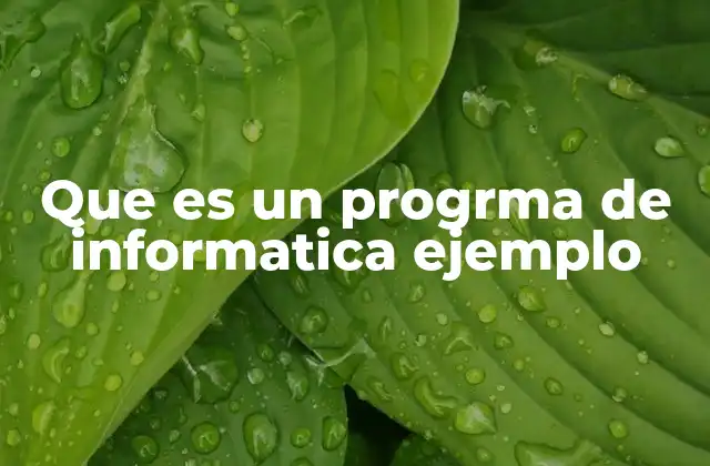 Que es un Progrma de Informatica Ejemplo