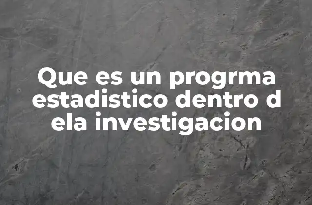 Que es un Progrma Estadistico Dentro D Ela Investigacion