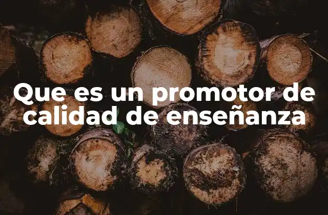 Que es un Promotor de Calidad de Enseñanza