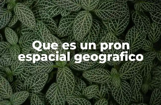 Que es un Pron Espacial Geografico